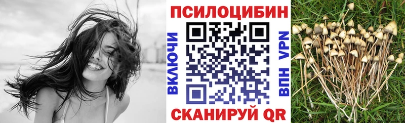 Галлюциногенные грибы Psilocybe  Волоколамск 